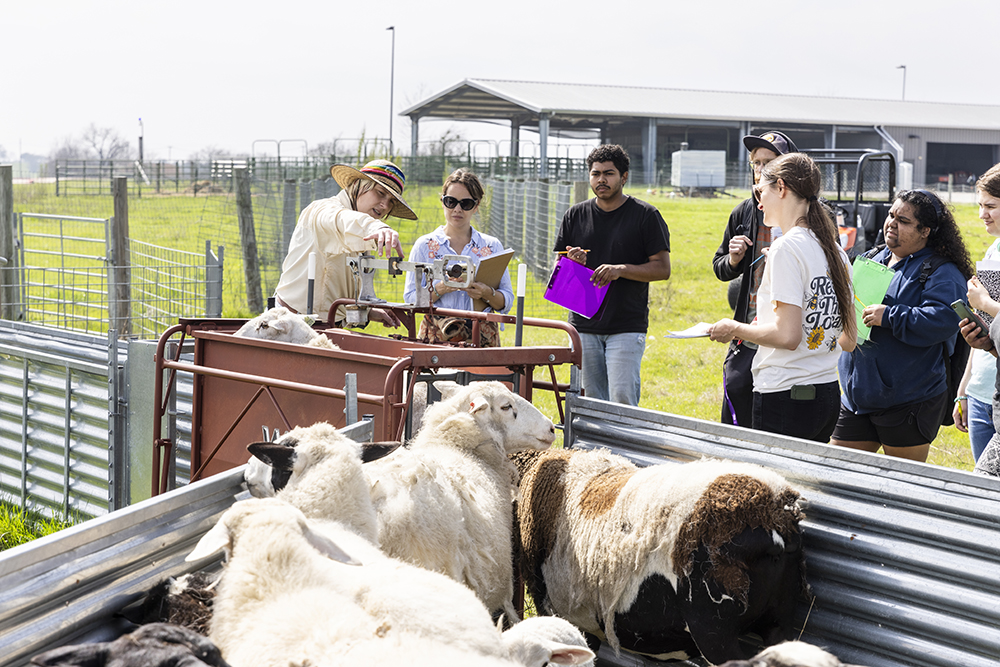 Students at the farm.