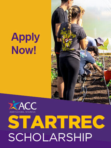 Apply Now for the STARTREC Scholarship!
